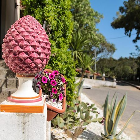 Agriturist Soleluna كالتاجيروني المظهر الخارجي الصورة